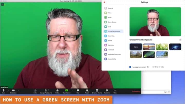 Zoom on sale green screen